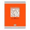3020120116891 - 20 CAHIERS 17X22 48P S?Y?S 90G PIQURE