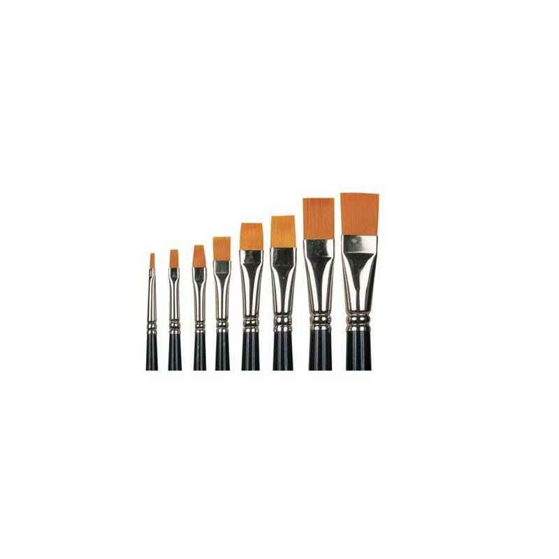 4011569000703 - 10 BROSSES RECYCLES SYNTHETIQUES PLATES N10