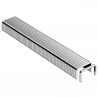 4009729081181 - 1200 AGRAFES POUR CLOUEUR 53/F6