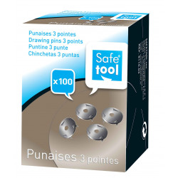 3701254708571 - 100 PUNAISES 3 POINTES