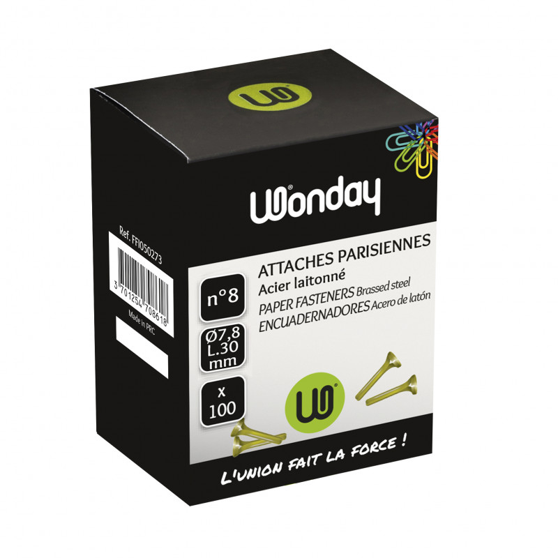 3701254708618 - 100 ATTACHES PARISIENNES 30MM N°8