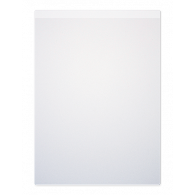 3045056712351 - 10 ÉTUIS SIMPLES PVC FORMAT 21X29,7CM