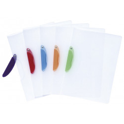 3130630476009 - CHEMISE À CLIP COLORIS ASSORTIS
