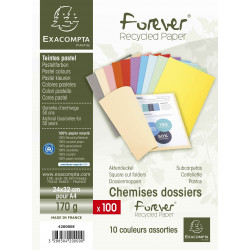 3288584200000 - 100 CHEMISES DOSSIER COLORIS ASSORTIS