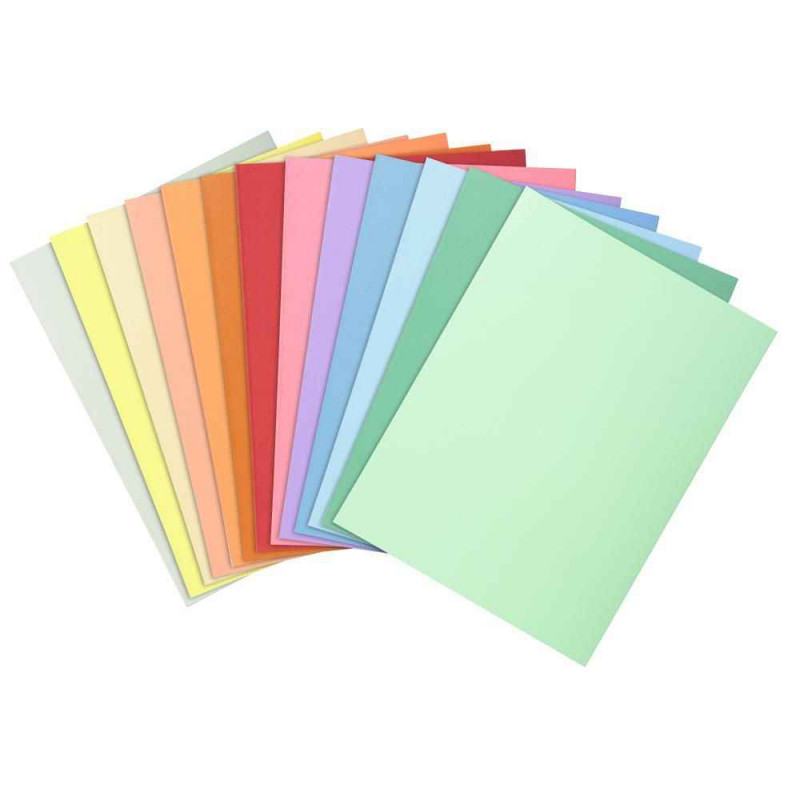 3288583300008 - 100 CHEMISES DOSSIER QUALITÉ SUPÉRIEURE COLORIS ASSORTIS