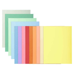 3288583300008 - 100 CHEMISES DOSSIER QUALITÉ SUPÉRIEURE COLORIS ASSORTIS