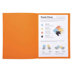 3288583300077 - 10 CHEMISES DOSSIER QUALITÉ SUPÉRIEURE ORANGE