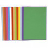 3288588000019 - 100 SOUS-CHEMISES COLORIS VIFS
