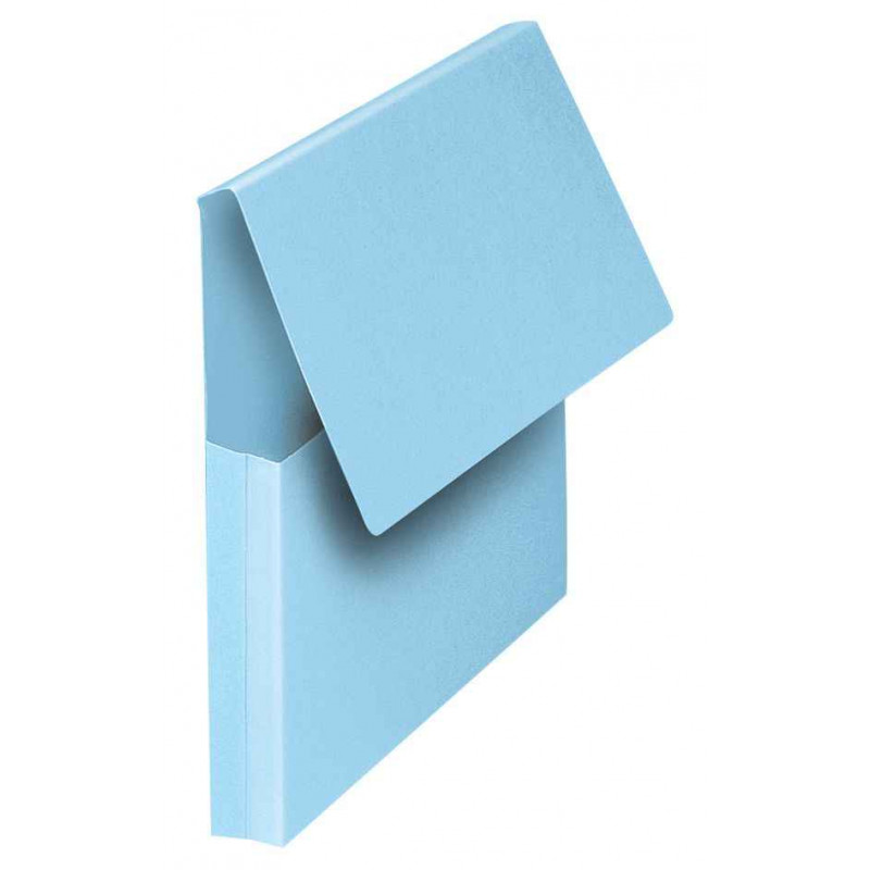 3334385516120 - POCHETTE VIP BLEU