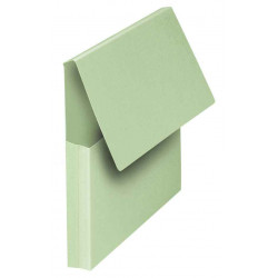 3334385516427 - POCHETTE VIP VERT