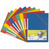 3297459174001 - 10 CHEMISES ÉLASTIQUE 3 RABATS CARTE COLORIS VIFS