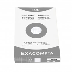 3130630132035 - 100 FICHES BRISTOLS 125X200 5X5 BLANC