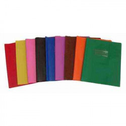 8004428385444 - PROT?GE-CAHIER PLASTIQUE 17X22 OPAQUE VERT  22/00?