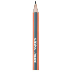 3154148502111 - 3 MINI-CRAYONS POUR COMPAS