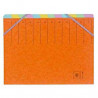 3297452466004 - TRIEUR CARTE QUALITÉ SUPÉRIEURE 12 POSITIONS