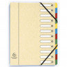 3130630053125 - EXACOMPTA TRIEUR À FENÊTRES CARTE LUSTRÉE 12 POSITIONS