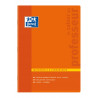 3020129917000 - CAHIER JOURNAL DU PROFESSEUR
