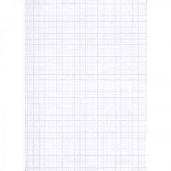 3037920153568 - BLOC NOTES 105X148MM 100FS 5X5 60G