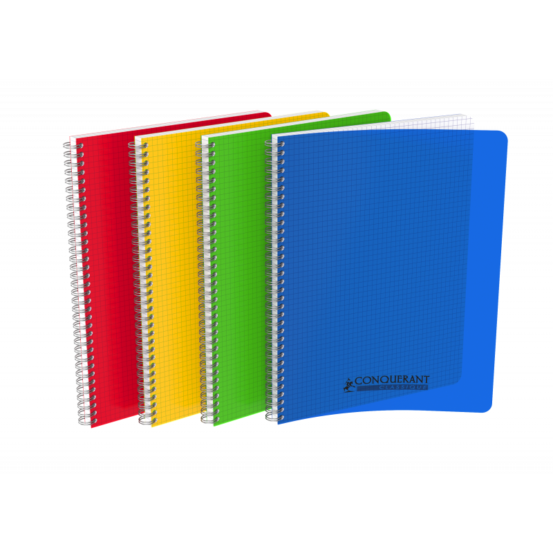 3020120133690 - CAHIER PP ASSORTIS 21X29,7 100P 5X5 90G RELIURE INTÉGRALE