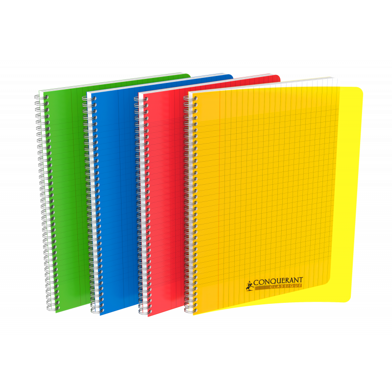 3020120134956 - CAHIER PP ASSORTIS 24X32 100P SÉYÈS 90G RELIURE INTÉGRALE
