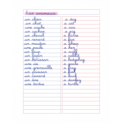 3020120167534 - CAHIER DE VOCABULAIRE PP 17X22 96P