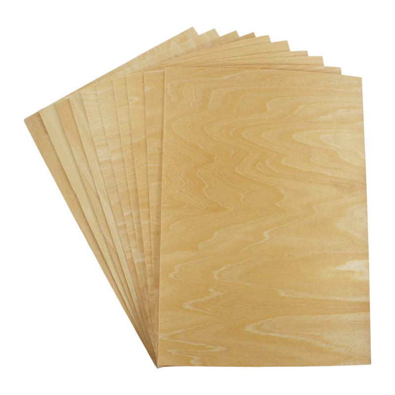 3701385304901 - 10F BOIS 21X29,7CM