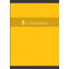 3020120000169 - CAHIER 21X29,7 96P 5X5 70G PIQURE