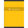 3020120000169 - CAHIER 21X29,7 96P 5X5 70G PIQURE