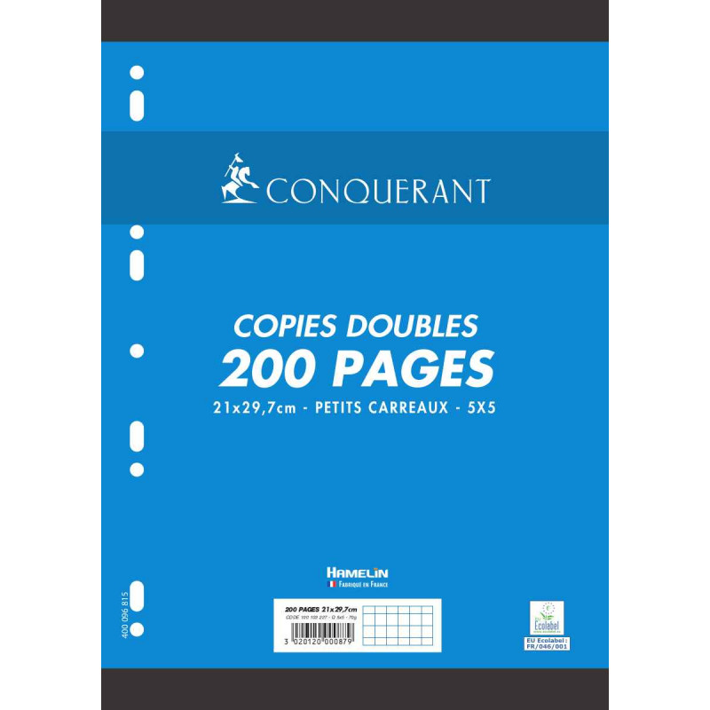 3020120000879 - COPIES DOUBLES 21X29,7 200P 5X5 70G BLANC