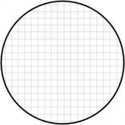 3130630132011 - 100 FICHES BRISTOLS 75X125 5X5 BLANC