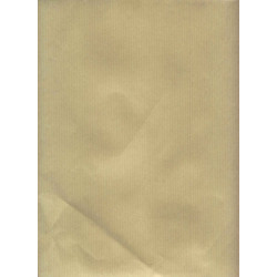 3020120226965 - 250 POCHETTES KRAFT 229X324MM