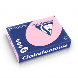 3329680197303 - RAMETTE 500F 80G A4 PASTEL ROSE