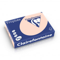 3329680176902 - RAMETTE 500F 80G A4 PASTEL SAUMON