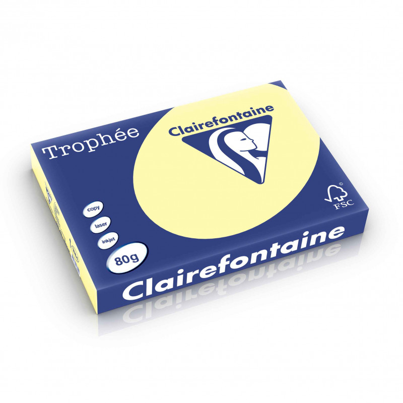 3329680188400 - RAMETTE 500F 80G A3 PASTEL JAUNE CANARI