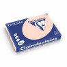 3329680189209 - RAMETTE 500F 80G A3 PASTEL SAUMON