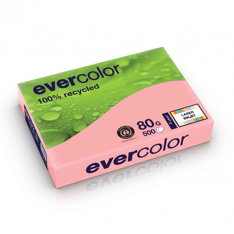 3288580400039 - EVERCOLOR RECYCLÉ ROSE A4 RAMETTE 500F 80G