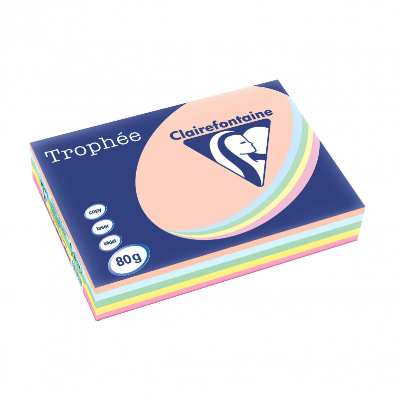 3329680170702 - RAMETTE 500F 80G A3 ASSORTIMENT PASTEL