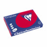 3329680189506 - RAMETTE 500F 80G A3 INTENSE ROUGE