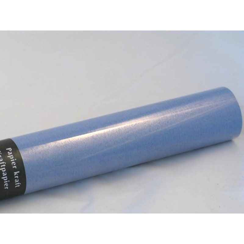 3065503049137 - ROULEAU 0,70X3M KRAFT BLEU