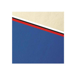 3288580278003 - 100 COUVERTURES GRAIN CUIR IVOIRE