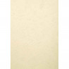 3288580278003 - 100 COUVERTURES GRAIN CUIR IVOIRE