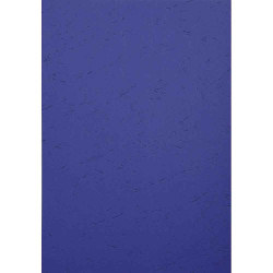 3130630027904 - 100 COUVERTURES GRAIN CUIR BLEU