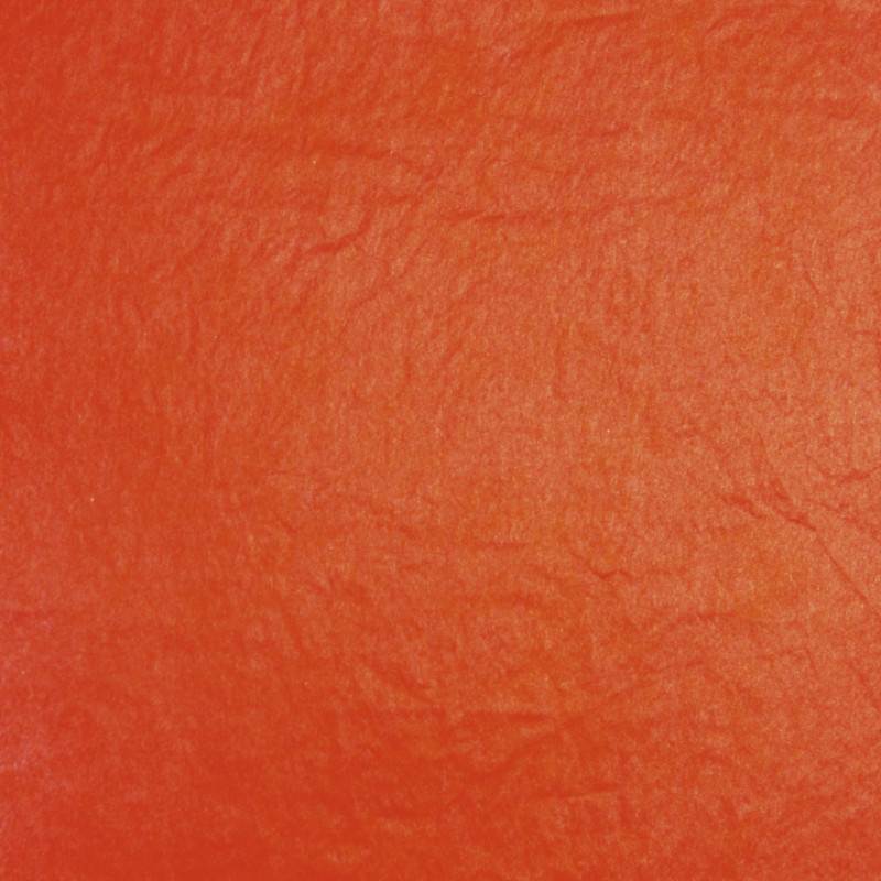 3065503940069 - 24F PAPIER DE SOIE 50X75CM ROUGE