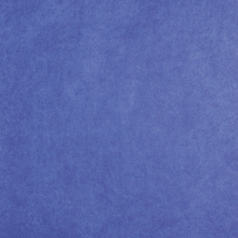 3065503940137 - 24F PAPIER DE SOIE 50X75CM BLEU