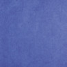 3065503940137 - 24F PAPIER DE SOIE 50X75CM BLEU