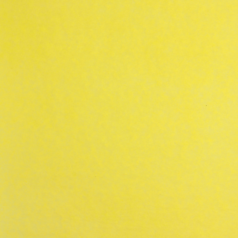 3065503940151 - 24F PAPIER DE SOIE 50X75CM JAUNE CITRON