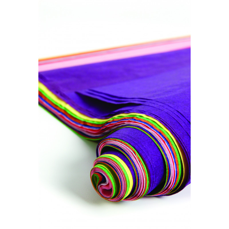 3065503940991 - 24F PAPIER DE SOIE 50X75CM ASSORTIES