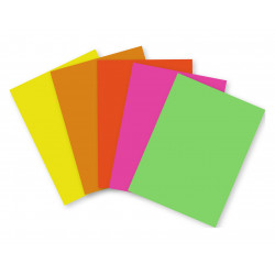 3065500939219 - 100F PAPIER AFFICHE 21X29,7CM FLUO ASSORTIES