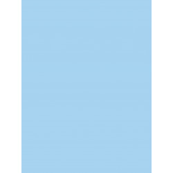 3065503845272 - 25F PAPIER AFFICHE 60X80CM BLEU CLAIR