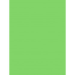 3065503845227 - 25F PAPIER AFFICHE 60X80CM VERT FONCÉ